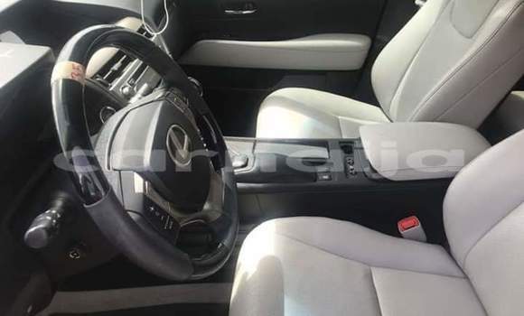 Acheter Import Voiture Lexus RX 350 Gris à Lagos, État de Lagos Acheter Import Voiture Lexus RX 350 Gris à Lagos, État de Lagos