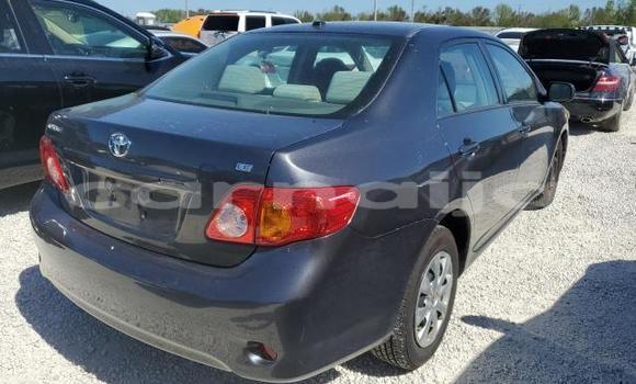 Buy Used Toyota Corolla Black Car in Badagry in Lagos State Buy Used Toyota Corolla Black Car in Badagry in Lagos State