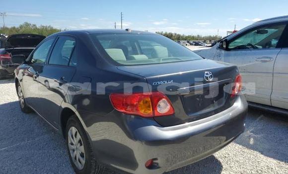 Buy Used Toyota Corolla Black Car in Badagry in Lagos State Buy Used Toyota Corolla Black Car in Badagry in Lagos State