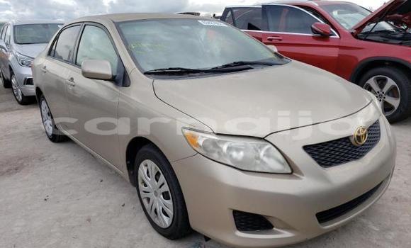 Buy New Toyota Corolla Brown Car in Badagry in Lagos State