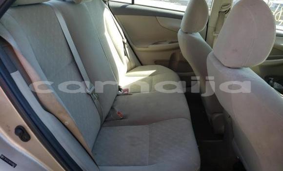 Buy New Toyota Corolla Brown Car in Badagry in Lagos State Buy New Toyota Corolla Brown Car in Badagry in Lagos State
