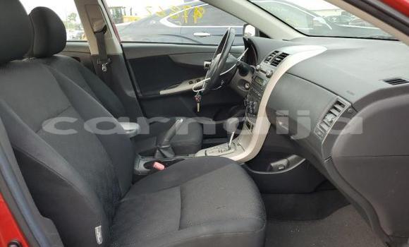 Buy New Toyota Corolla Brown Car in Badagry in Lagos State Buy New Toyota Corolla Brown Car in Badagry in Lagos State