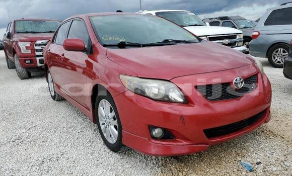 Acheter Neuf Voiture Toyota Corolla Rouge à Badagry, État de Lagos