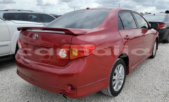 Buy New Toyota Corolla Red Car in Badagry in Lagos State Buy New Toyota Corolla Red Car in Badagry in Lagos State