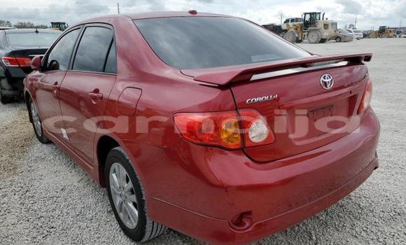 Buy New Toyota Corolla Red Car in Badagry in Lagos State Buy New Toyota Corolla Red Car in Badagry in Lagos State