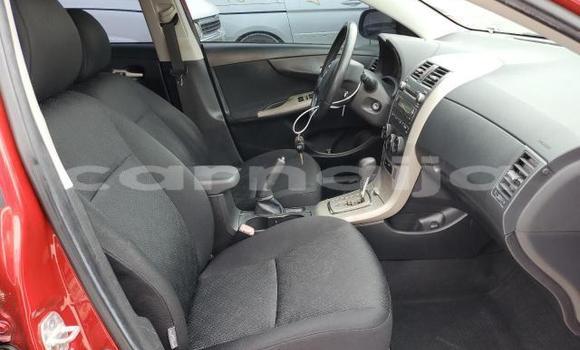 Buy New Toyota Corolla Red Car in Badagry in Lagos State Buy New Toyota Corolla Red Car in Badagry in Lagos State