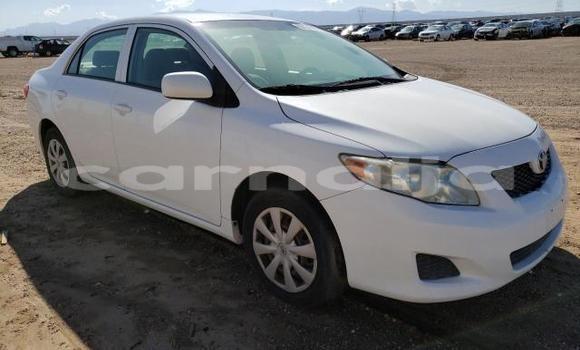 Buy New Toyota Corolla White Car in Badagry in Lagos State