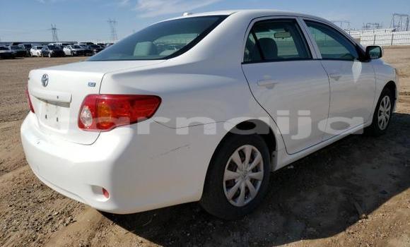 Acheter Neuf Voiture Toyota Corolla Blanc à Badagry, État de Lagos Acheter Neuf Voiture Toyota Corolla Blanc à Badagry, État de Lagos