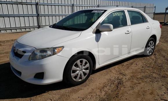 Acheter Neuf Voiture Toyota Corolla Blanc à Badagry, État de Lagos Acheter Neuf Voiture Toyota Corolla Blanc à Badagry, État de Lagos