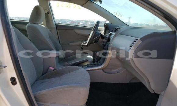 Acheter Neuf Voiture Toyota Corolla Blanc à Badagry, État de Lagos Acheter Neuf Voiture Toyota Corolla Blanc à Badagry, État de Lagos