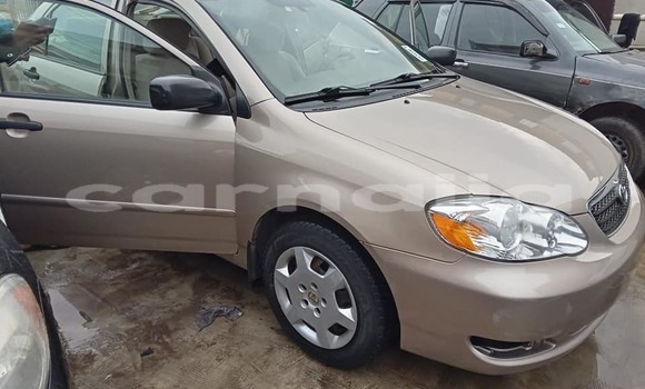 Buy Used Toyota Corolla Brown Car in Lagos in Lagos State
