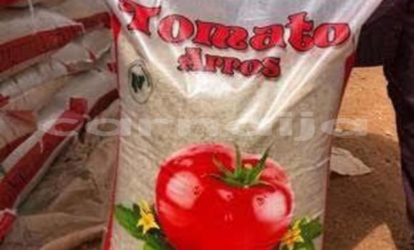 Buy Bags of rice for sale in Akure in Ondo State Buy Bags of rice for sale in Akure in Ondo State