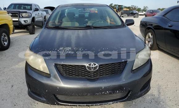 Buy New Toyota Corolla Other Car in Badagry in Lagos State