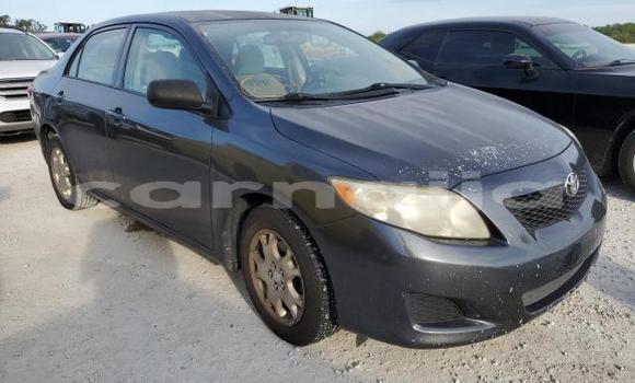 Buy New Toyota Corolla Other Car in Badagry in Lagos State Buy New Toyota Corolla Other Car in Badagry in Lagos State