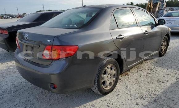 Buy New Toyota Corolla Other Car in Badagry in Lagos State Buy New Toyota Corolla Other Car in Badagry in Lagos State