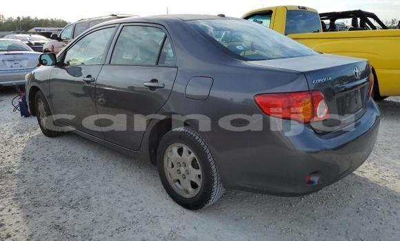 Buy New Toyota Corolla Other Car in Badagry in Lagos State Buy New Toyota Corolla Other Car in Badagry in Lagos State