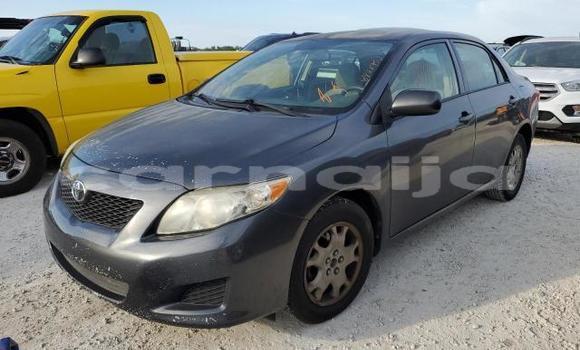 Buy New Toyota Corolla Other Car in Badagry in Lagos State Buy New Toyota Corolla Other Car in Badagry in Lagos State