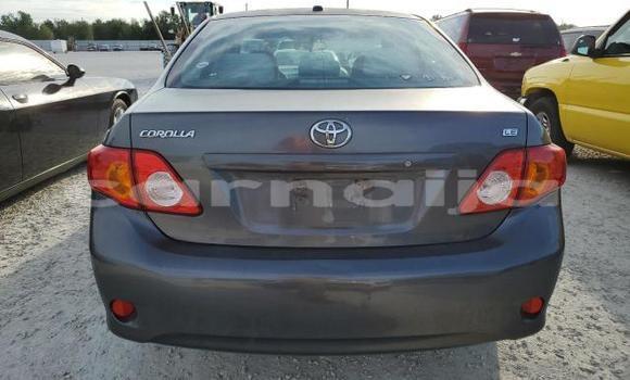 Buy New Toyota Corolla Other Car in Badagry in Lagos State Buy New Toyota Corolla Other Car in Badagry in Lagos State