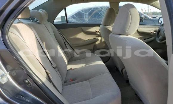 Buy New Toyota Corolla Other Car in Badagry in Lagos State Buy New Toyota Corolla Other Car in Badagry in Lagos State