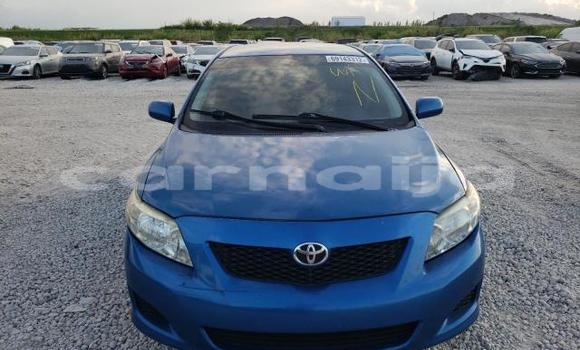 Buy New Toyota Corolla Blue Car in Badagry in Lagos State