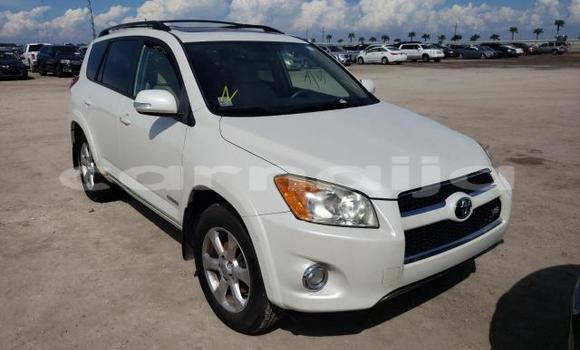 Buy New Toyota RAV4 White Car in Badagry in Lagos State