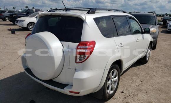 Acheter Neuf Voiture Toyota RAV4 Blanc à Badagry, État de Lagos Acheter Neuf Voiture Toyota RAV4 Blanc à Badagry, État de Lagos