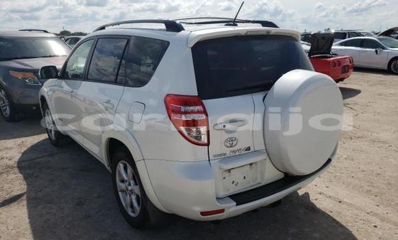 Acheter Neuf Voiture Toyota RAV4 Blanc à Badagry, État de Lagos Acheter Neuf Voiture Toyota RAV4 Blanc à Badagry, État de Lagos