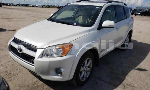 Acheter Neuf Voiture Toyota RAV4 Blanc à Badagry, État de Lagos Acheter Neuf Voiture Toyota RAV4 Blanc à Badagry, État de Lagos