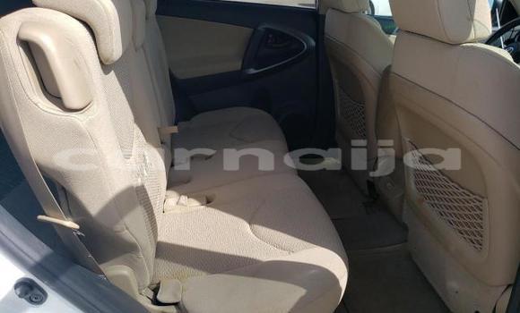 Acheter Neuf Voiture Toyota RAV4 Blanc à Badagry, État de Lagos Acheter Neuf Voiture Toyota RAV4 Blanc à Badagry, État de Lagos