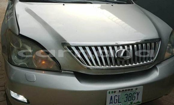 Acheter Occasion Voiture Lexus RX 330 Gris à Aba, État d'Abia