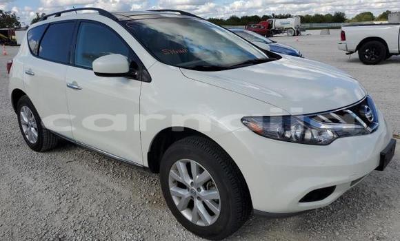Buy New Nissan Murano White Car in Badagry in Lagos State Buy New Nissan Murano White Car in Badagry in Lagos State