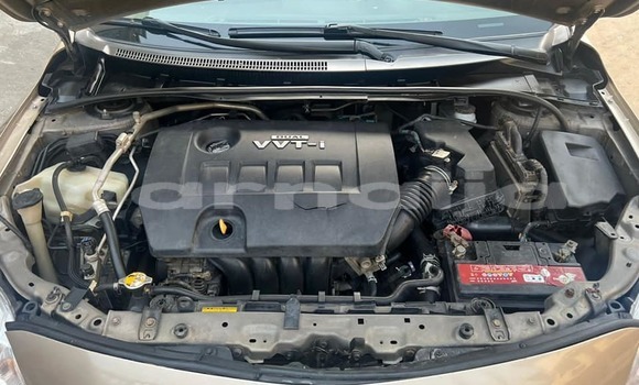 Buy Used Toyota Corolla Brown Car in Lagos in Lagos State Buy Used Toyota Corolla Brown Car in Lagos in Lagos State