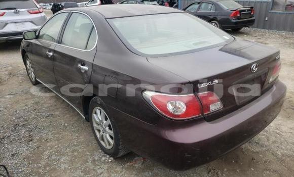 Acheter Neuf Voiture Lexus ES 300 Autre à Badagry, État de Lagos Acheter Neuf Voiture Lexus ES 300 Autre à Badagry, État de Lagos