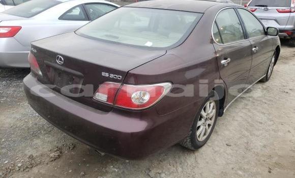 Acheter Neuf Voiture Lexus ES 300 Autre à Badagry, État de Lagos Acheter Neuf Voiture Lexus ES 300 Autre à Badagry, État de Lagos