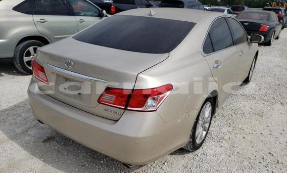 Buy New Lexus ES Other Car in Badagry in Lagos State Buy New Lexus ES Other Car in Badagry in Lagos State