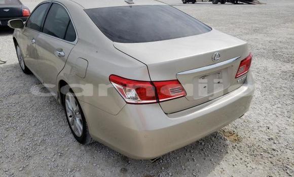 Buy New Lexus ES Other Car in Badagry in Lagos State Buy New Lexus ES Other Car in Badagry in Lagos State