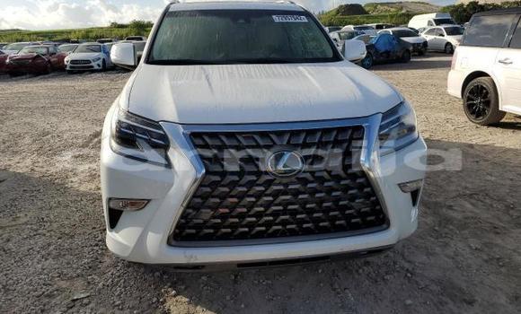 Buy New Lexus GX White Car in Badagry in Lagos State