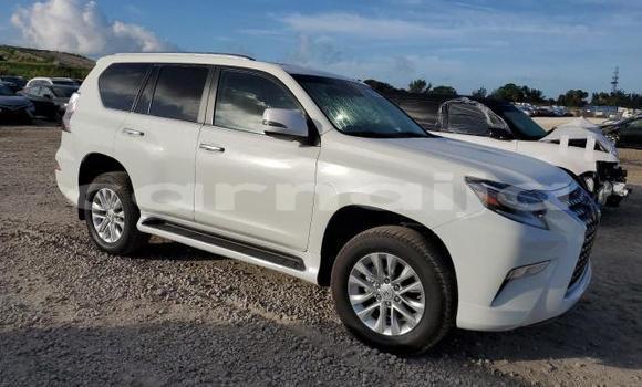 Acheter Neuf Voiture Lexus GX Blanc à Badagry, État de Lagos Acheter Neuf Voiture Lexus GX Blanc à Badagry, État de Lagos