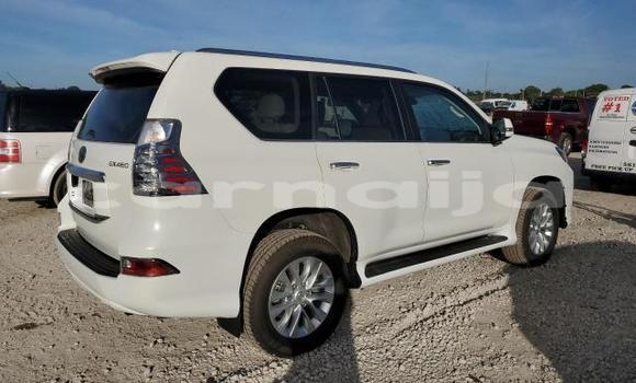 Acheter Neuf Voiture Lexus GX Blanc à Badagry, État de Lagos Acheter Neuf Voiture Lexus GX Blanc à Badagry, État de Lagos