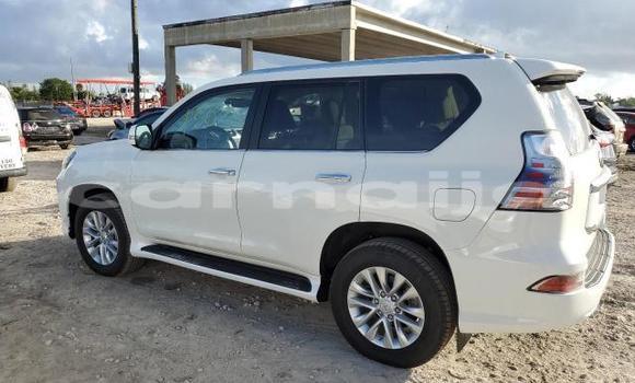 Acheter Neuf Voiture Lexus GX Blanc à Badagry, État de Lagos Acheter Neuf Voiture Lexus GX Blanc à Badagry, État de Lagos
