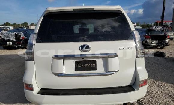 Acheter Neuf Voiture Lexus GX Blanc à Badagry, État de Lagos Acheter Neuf Voiture Lexus GX Blanc à Badagry, État de Lagos