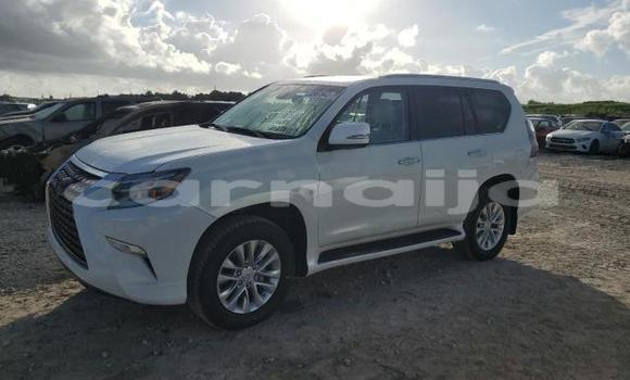 Acheter Neuf Voiture Lexus GX Blanc à Badagry, État de Lagos Acheter Neuf Voiture Lexus GX Blanc à Badagry, État de Lagos