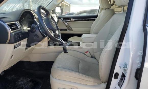 Acheter Neuf Voiture Lexus GX Blanc à Badagry, État de Lagos Acheter Neuf Voiture Lexus GX Blanc à Badagry, État de Lagos