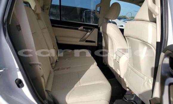 Acheter Neuf Voiture Lexus GX Blanc à Badagry, État de Lagos Acheter Neuf Voiture Lexus GX Blanc à Badagry, État de Lagos