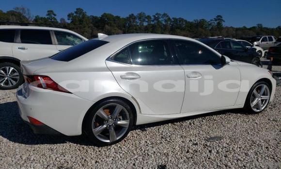 Acheter Neuf Voiture Lexus IS Blanc à Badagry, État de Lagos Acheter Neuf Voiture Lexus IS Blanc à Badagry, État de Lagos