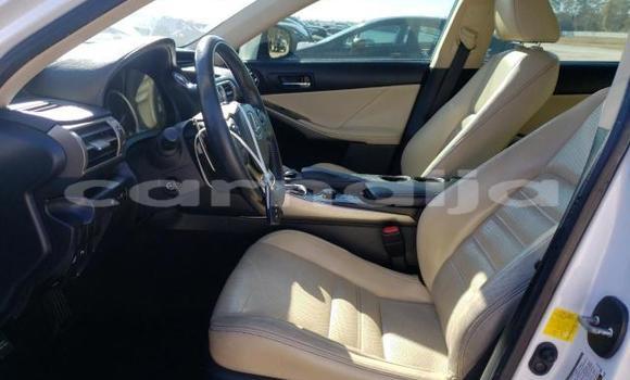 Acheter Neuf Voiture Lexus IS Blanc à Badagry, État de Lagos Acheter Neuf Voiture Lexus IS Blanc à Badagry, État de Lagos