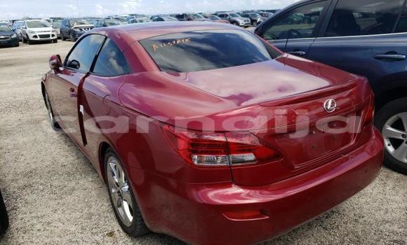 Acheter Neuf Voiture Lexus IS Rouge à Badagry, État de Lagos Acheter Neuf Voiture Lexus IS Rouge à Badagry, État de Lagos