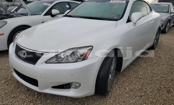 Acheter Neuf Voiture Lexus IS Blanc à Badagry, État de Lagos Acheter Neuf Voiture Lexus IS Blanc à Badagry, État de Lagos
