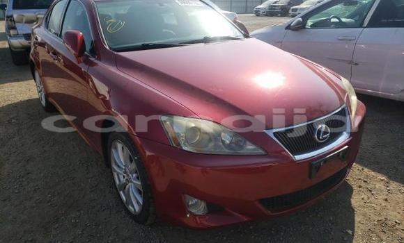 Buy New Lexus IS Red Car in Badagry in Lagos State Buy New Lexus IS Red Car in Badagry in Lagos State