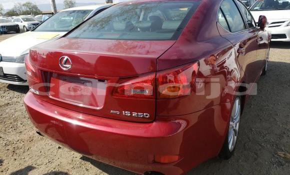 Acheter Neuf Voiture Lexus IS Rouge à Badagry, État de Lagos Acheter Neuf Voiture Lexus IS Rouge à Badagry, État de Lagos